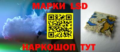 прущие грибы Можга