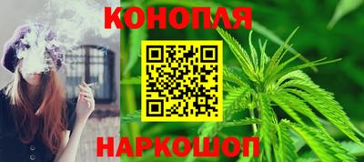 прущие грибы Можга