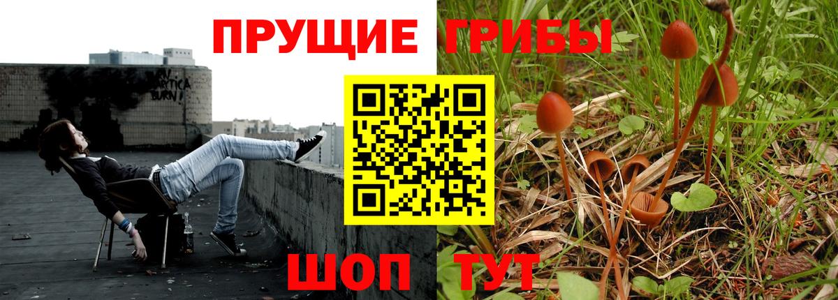 Галлюциногенные грибы GOLDEN TEACHER Евпатория